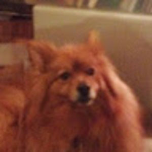 Meet your Posher, Patricia